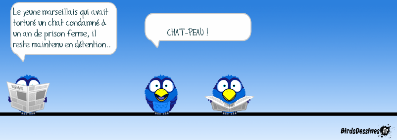 Fin du chat-pitre....