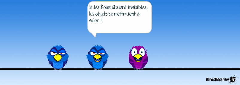 Mise en scène d’une phrase vue sur le net ! Si les roms...