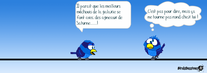 La cuisine avec Birdchef, c'est pas si compliqué...! 2