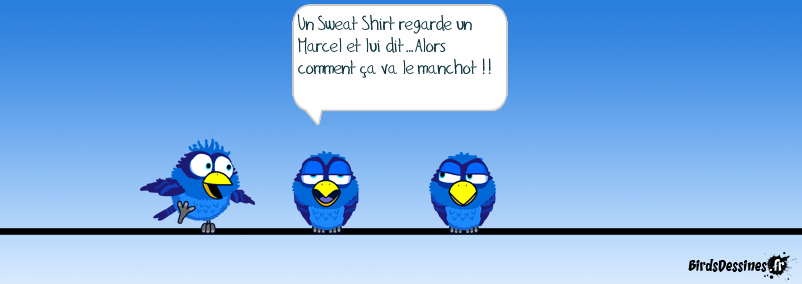 Le Sweet Shirt et le Marcel