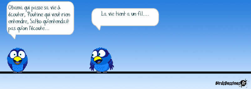 Sur le fil, mais sur celui des birds...