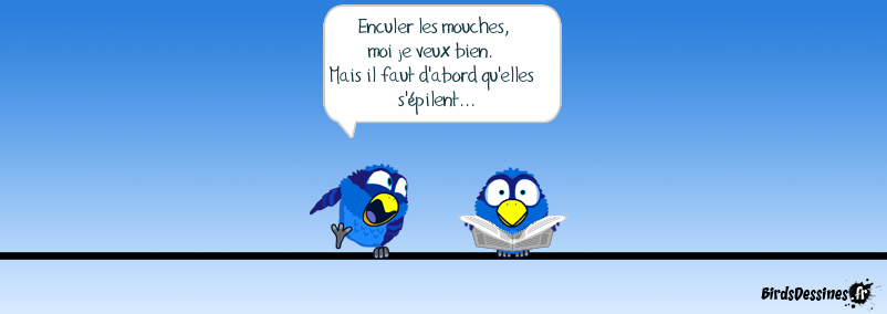 La mouche portugaise .