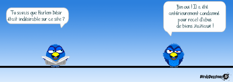 Harlem Désir rattrapé par les affaires européennes (suite)