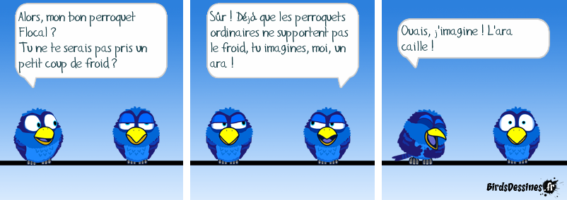 Kaï, kaï, kaï !!!