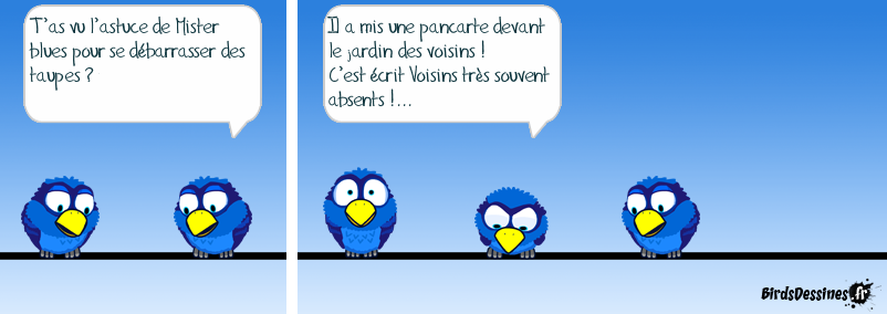 L’astuce Mister blues