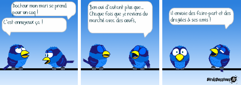 Mise en scène d’une blague… N’en déplaise à certain ! Histoire dingue