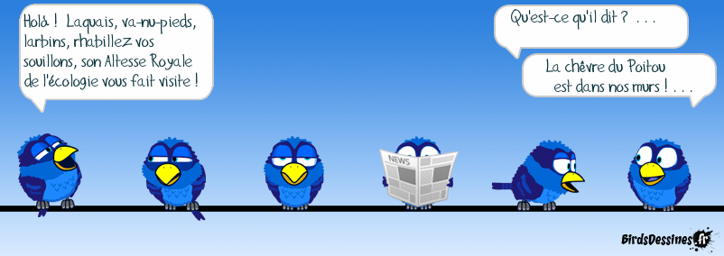 Un matin au ministère !