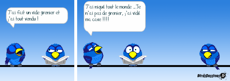 Cette blague est sortie de ma cervelle d’oiseau ! Le vide grenier