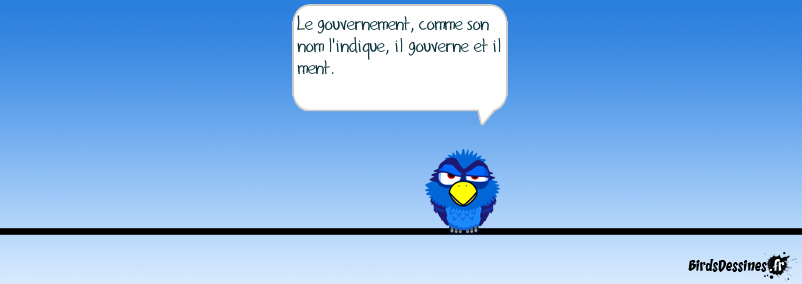 Le gouvernement