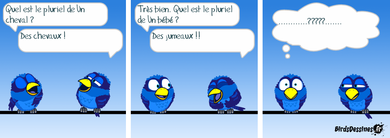 Mise en scène d’une blague ! Du singulier au pluriel !