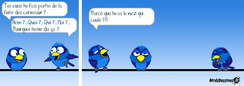 La fuite des cerveaux