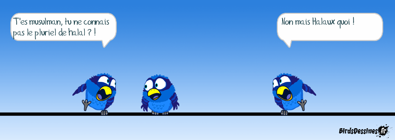 Non mais Allo Quoi !