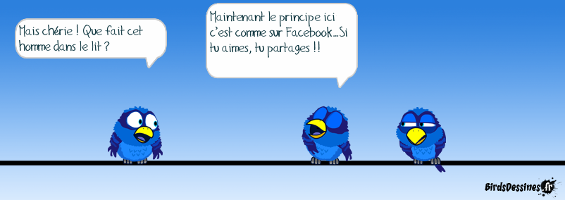 Le principe Facebook