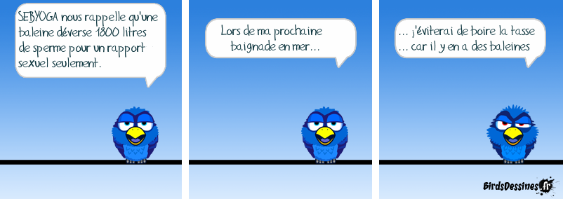 Merci pour l'info SEBYOGA :)