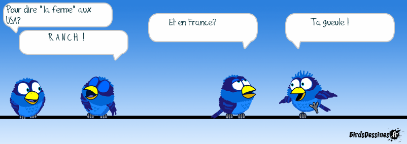 SLAM EN LIGNE (suite)...