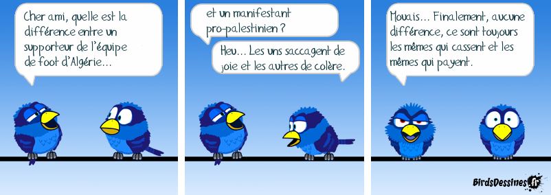 GAZA sur SEINE et sa bande.