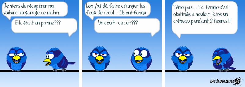 SI TU AVANCES ET TU RECULES, COMMENT VEUX-TU...TE GARER!