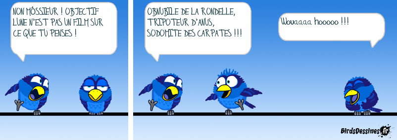 Jouons avec la littérature…11