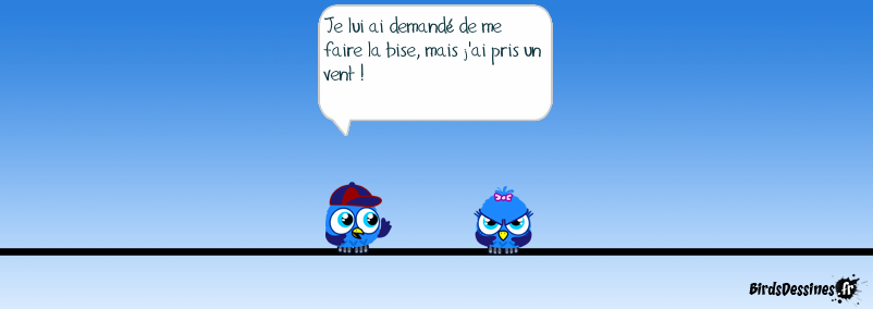 Se prendre un vent: se faire rejeter.
Bise: vent. De quoi j'ai l'air ?