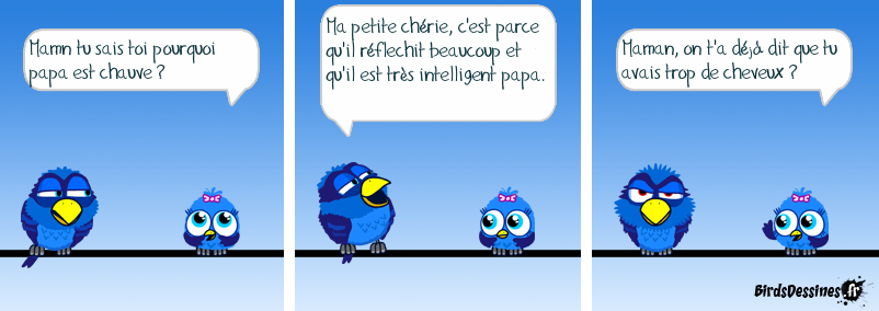 Mon papa est chauve.