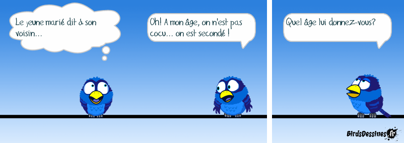 Day-vinete (chouite)...