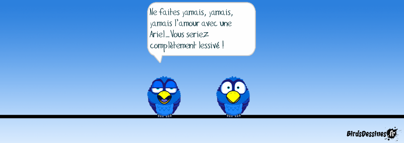 Conseil de Mister blues