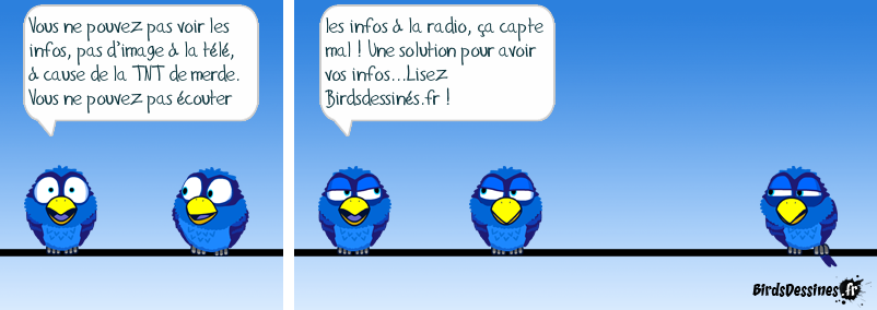 Conseil de Mister blues