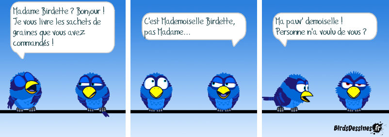 Demoiselle Birdette
