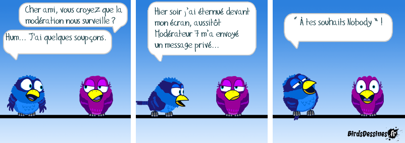 Attention, Bird-Brother vous observe.  ;-)