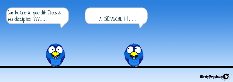 http://www.birdsdessines.fr/bds/2015/04/03/1428058461.png