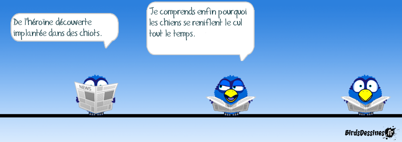 ADAPTATION D'UNE BLAGUE DE CHARLIE HEBDO