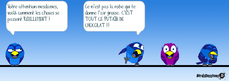 VOTRE ATTENTION MESDAMES…16EME VOLET