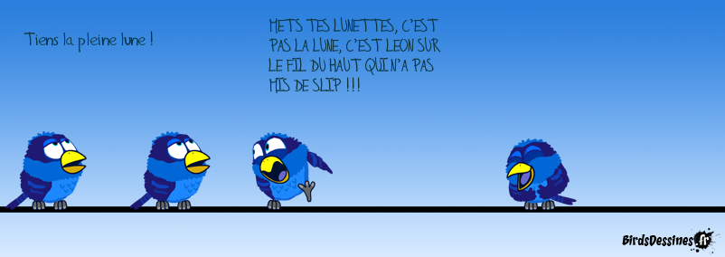 PLEINE LUNE ? VOUS ÊTES SÛR ? (BD REFAITE)
