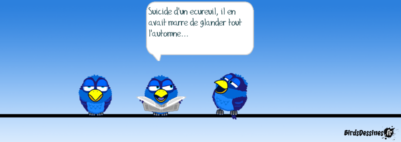 Suicide d'ecureuil...