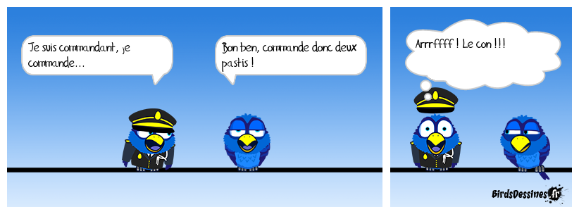 LE COMMANDANT