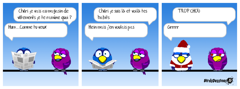 Oiseau & Habit