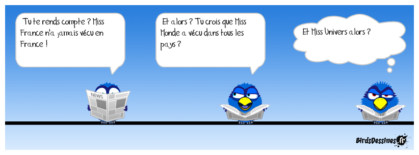 Vive Miss France !