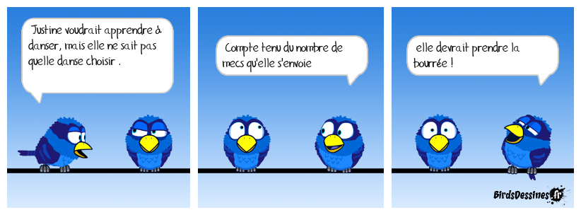 danse avec les stars