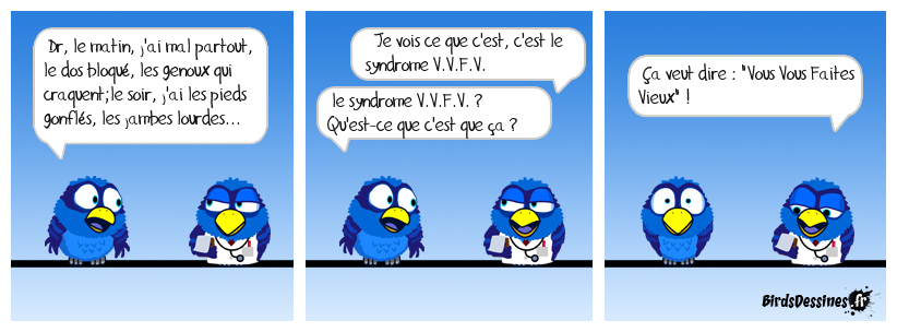 La page médicale : le syndrome V.V.F.V.
