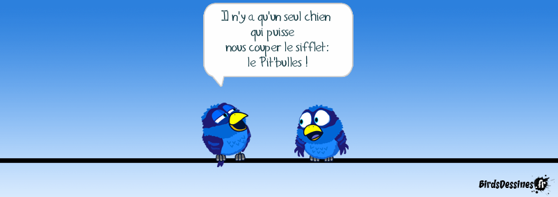 Blague. Humour Francais. J'entends les oiseaux chanter стих на французском. Tenor - c'est bon.