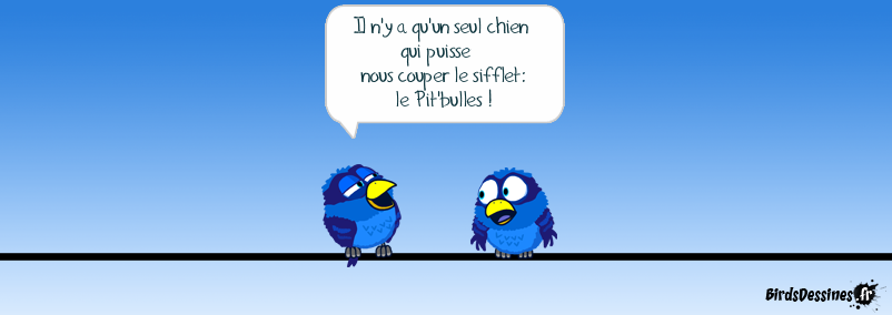 Il est bien. Blague. Humour Francais. J'entends les oiseaux chanter стих на французском. Tenor - c'est bon.