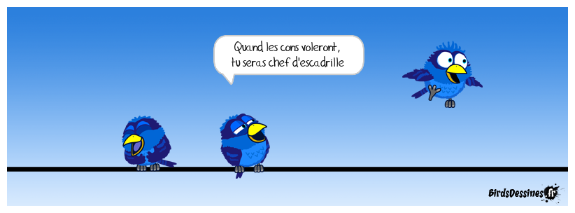 Vol Humour Humour