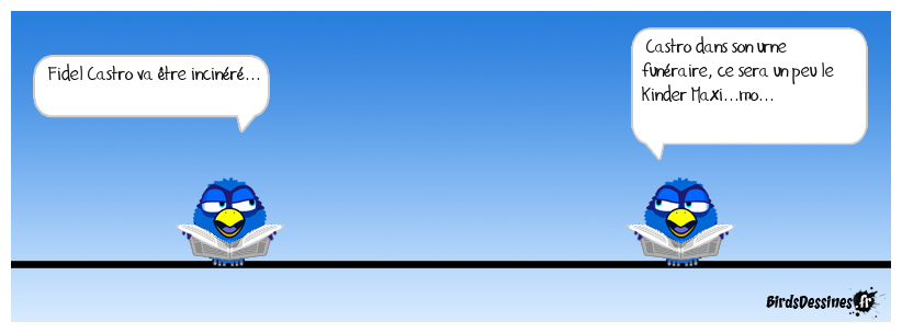 N'oeuf jours de deuil national pour le Leader Maximo!