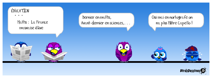 ♫ Le Coin-coin du matin ♫ 30/11 ♫