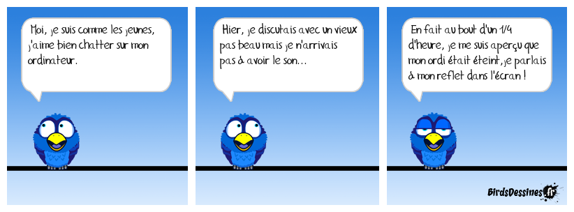 Chat sauvage en ligne