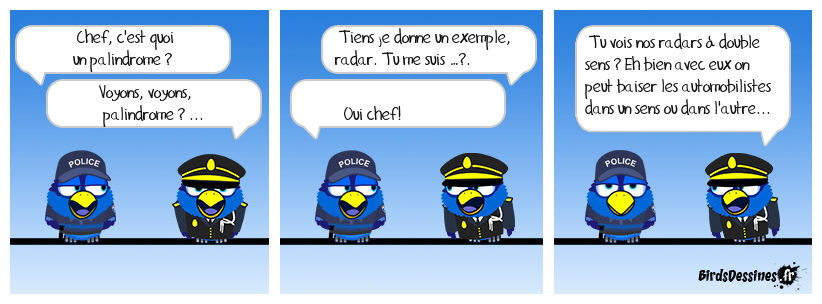 Palindrome, définition .