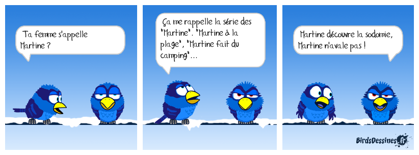 Martine à la plage, Séries