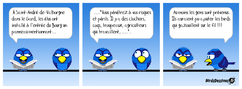 Le coq Maurice va devenir l’emblème de la France d’en bas !