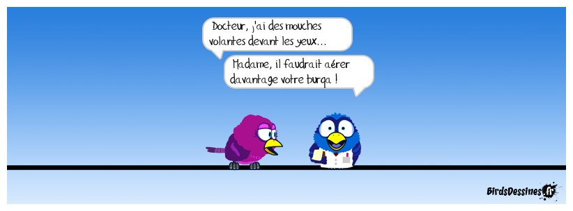 La page médicale : mouches volantes