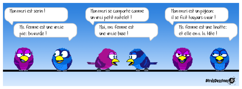 histoire de birds